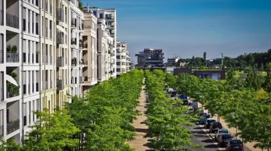 Allee in Düsseldorf