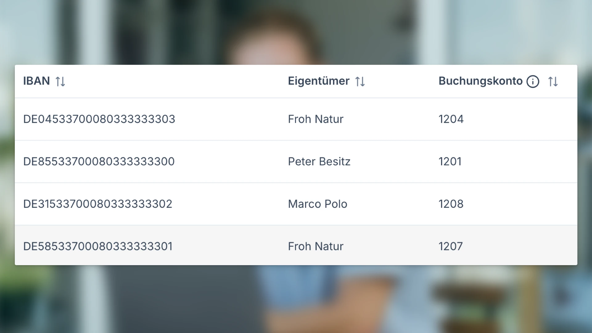 Buchungskonten im DATEV-Export