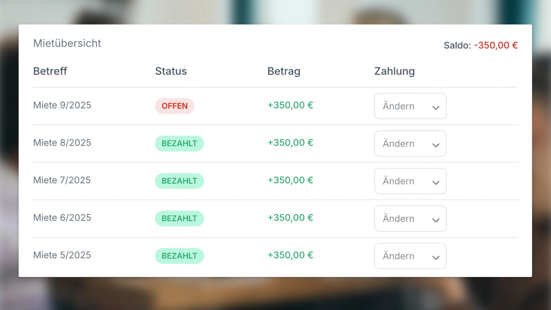 Mietübersicht eines Mieters