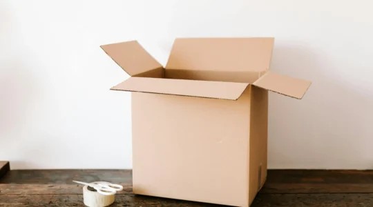 Umzugskarton in Wohung